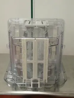 SILICON WAFER TRANSFER