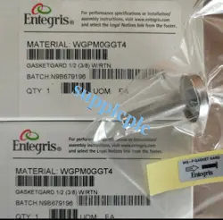 NEW ENTEGRIS WGPM0GGT4 FILTER FAST SHIPPING#DHL OR FEDEX
