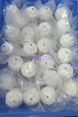 1PCS NEW ENTEGRIS 202-69-01 202-69-01 BRAND NEW FEDEX OR DHL