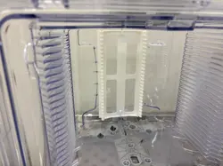 SILICON
