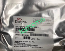 1PCS  ENTEGRIS FILTER WGFG02PR1 NEW VIA FEDEX OR DHL
