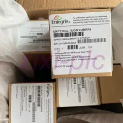 1PCS  NEW  ENTEGRIS  WGMXMBRR4   FILTER   DHL SHIPPING