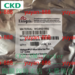 1PC NEW ENTEGRIS WG3NS1RR2 BY DHL OR FEDEX