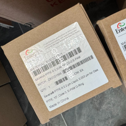 SVEG01P01