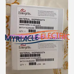 1PCS ENTEGRIS WGPMOGGT4 BRAND NEW FILTER SHIPPING VIA DHL OR FEDEX