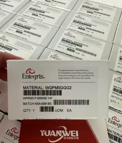 1PCS  ENTEGRIS   WGPM0GGG2  WFRGD P GSKGD 1/4