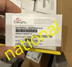WGPM0GGG2 ENTEGRIS FILTER  WGPM0GGG2 WGPM0GGG2