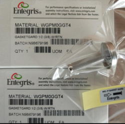 NEW ENTEGRIS WGPM0GGT4