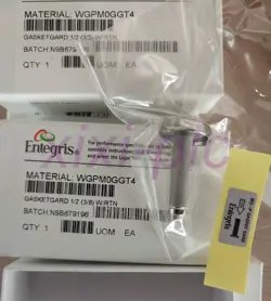 1PCS NEW ENTEGRIS WGPM0GGT4 FILTER DHL SHIPPING