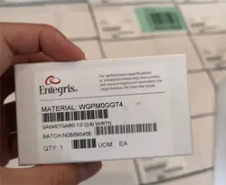 .NEW ENTEGRIS WGPM0GGT4