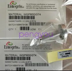 1PC ENTEGRIS WGPM0GGT4