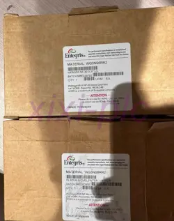 1PCS  NEW  ENTEGRIS  WG3NS6RR2   GAS FILTER  BY DHL OR FEDEX