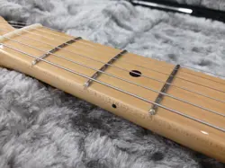 FENDER AM PRO TELE MN NAT ELECTRIC GUITAR