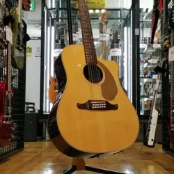 12 STRING ELECTRIC ACOUSTIC MODEL NUMBER  VILLAGER 12 FENDER