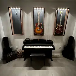 Guitar Display Case Black & White LED Light Gibson Fender Rack Wood Wall Cabinet