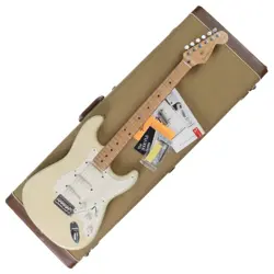 FENDER USA Stratcaster Eric Clapton with Lace Sensor Mod. Used 1989 Maple