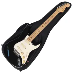 FENDER USA Stratcaster Eric Clapton Signature Model with Lace Sensor Used Maple