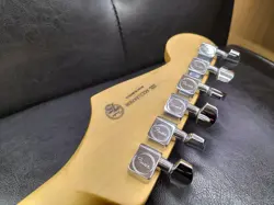 PLAYER STRAT HSS PLSTP Model No. PLAYER STRAT HSS PLSTP FENDER