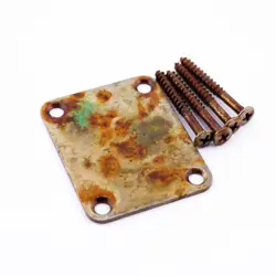 AGP ™ - TELECASTER ® STRATOCASTER® AGED RELIC GUITAR NECK PLATE & SCREWS