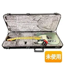 IN STOCK/FENDER/FENDER AMERICAN PROFESSIONAL II TELECASTER LEFT-HAND 0113952718