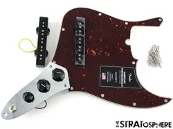 FENDER AMERICAN PROFESSIONAL II JAZZ BASS V 5 STRING LOADED PICKGUARD, TORTOISE