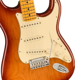 CASE- SIENNA