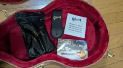 GIBSON PAUL