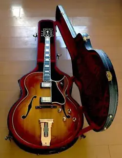 CUTAWAY HOLLOW GUITAR