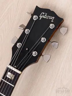 HUMBUCKERS CASE