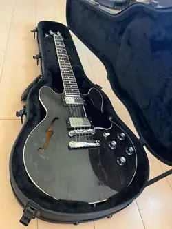 S/N 221630087