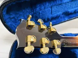 CASE FISHMAN W/ORIGINAL
