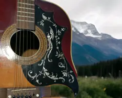 GIBSON COPY