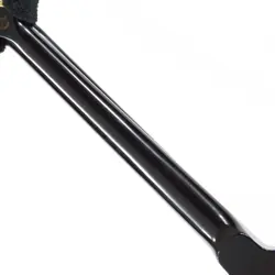 EBONY BLACK ELECTRIC
