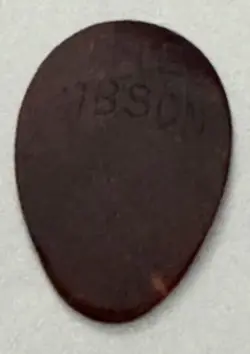 GUITAR PICK