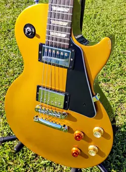 PAUL STUDIO GOLD