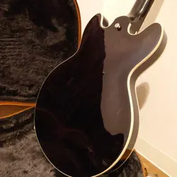 ES-339 TRANS EBONY