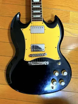 SG STANDARD 2004