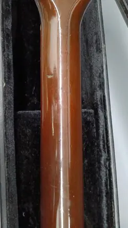 AMBER BURST