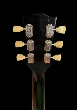 ES-335 CUSTOM