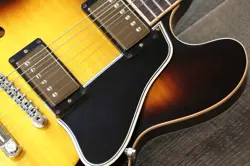 SUNBURST COA