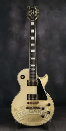 CUSTOM USED ELECTRIC