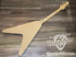 1981 ELECTRIC