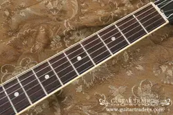 DOT NO.DG1686