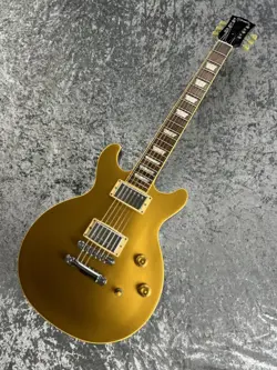 USED GIBSON 2009