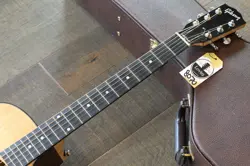 NATURAL ACOUSTIC/