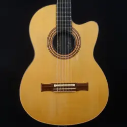 2002 ACOUSITC ELECTRIC