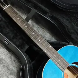 GIBSON DEALER SELECT
