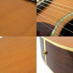 ACOUSTIC GUITAR ELECT