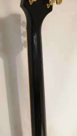 CUSTOM GIBSON CUSTOM