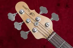 BODY MAPLE